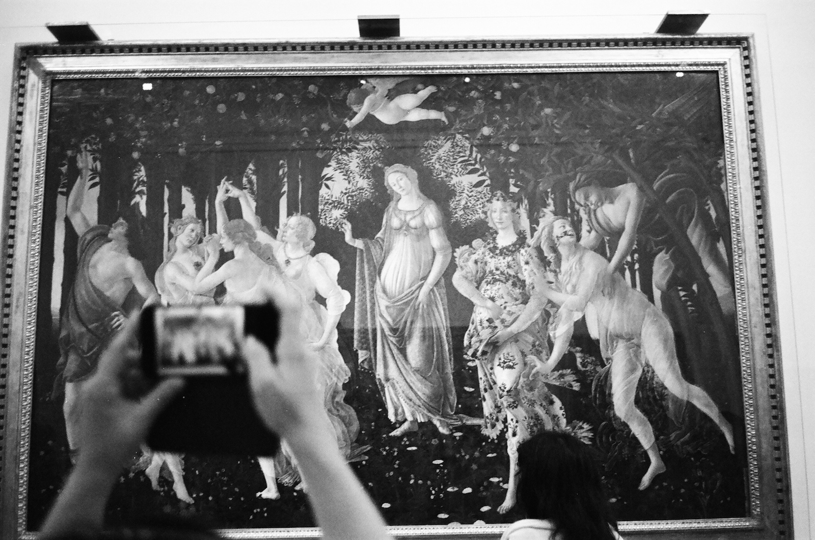 taking a picture of boticelli in florence
